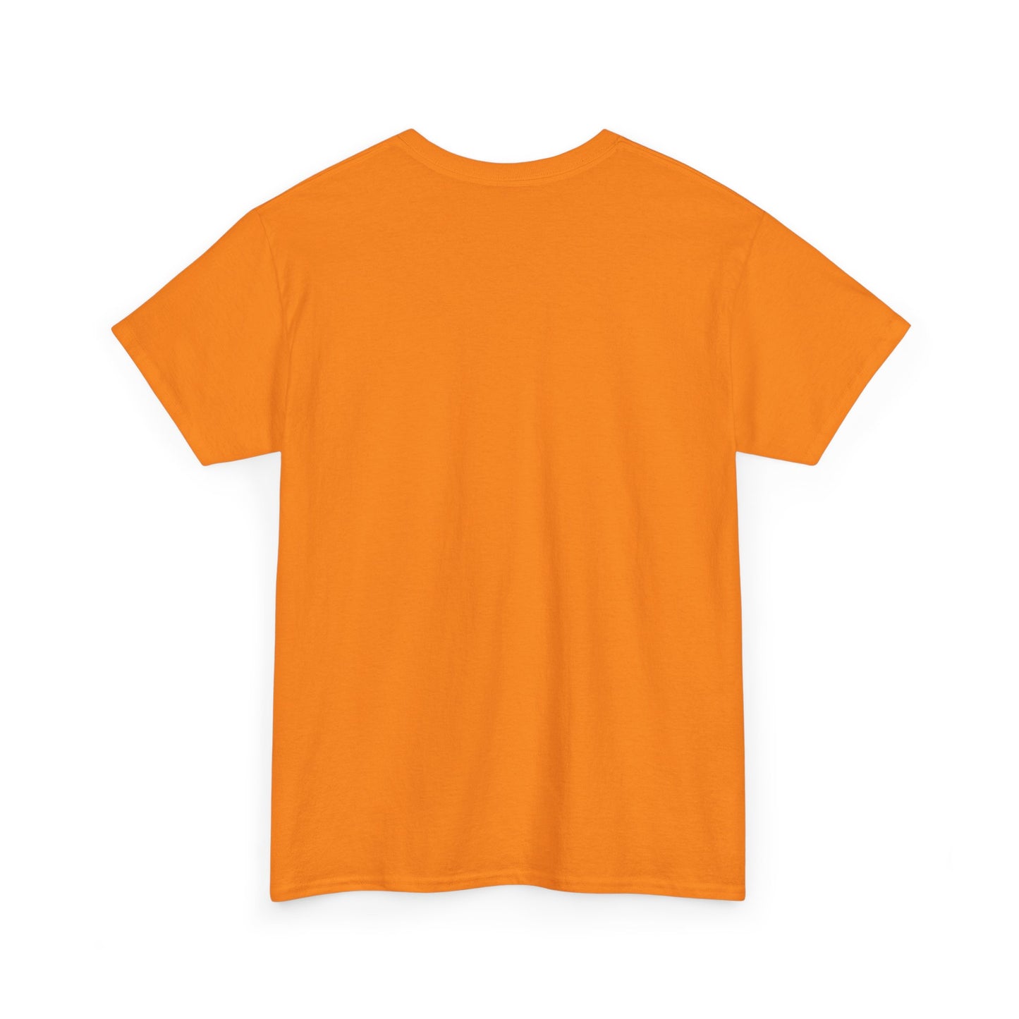 Monarchs Blue and Orange Squares Unisex Heavy Cotton Tee -