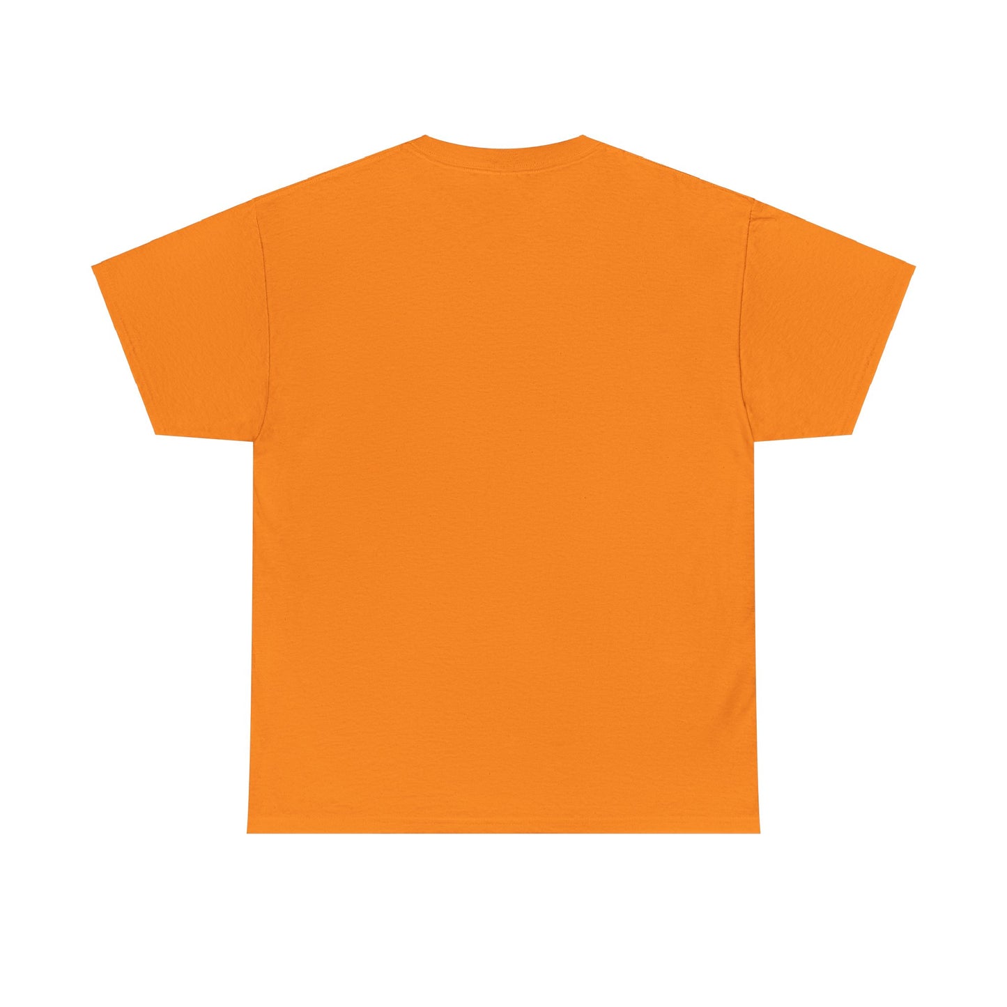 Monarchs Blue and Orange Squares Unisex Heavy Cotton Tee -